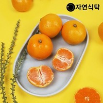 자연식탁 [산지직송]제주 고당도 하우스감귤 4.5kg 랜덤과(못난이)