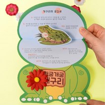 초등 어린이 개구리 성장과정 학습활동지 북아트 4개 교구 손작업 유아만들기 장식품 6살