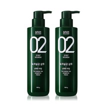 아모스 녹차실감 지성두피 프레쉬 샴푸, 500g, 2개, 500g x 2개
