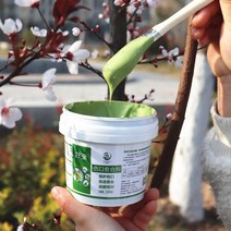 나무 상처 치료제 톱신페스트 영양제 코팅 과수원, 500g (녹색), 1개