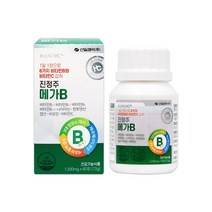 진정주 메가B(60정), 60정, 1개