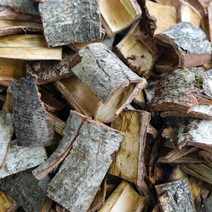 국내산 1등급 벌나무 껍질, 1개, 550g