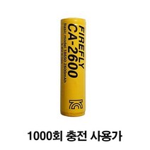 KC인증 AA 충전지 충전 건전지 CA-2600 충전 배터리 충전지