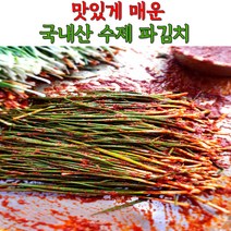 국내산 수제 맛있게 매운 불 파김치 실비김치 1kg 3kg 5kg, 불김치_파김치_3kg