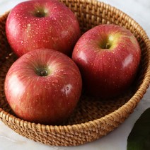 고당도 햇 국내산 엔비사과 9kg(과수별 선택구매) 26900원부터, 9kg(30과내외)
