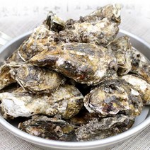 진남수산 여수돌산각굴(석화)12kg, 단품