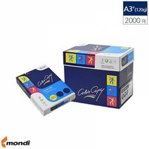 A3 Plus 컬러 레이져 전용지 305x457 120g 2000매, 상세페이지 참조