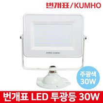 금호 번개표 LED 투광등 30W 슬림형 사각 방수등급 IP65 AS무상2년, 1개