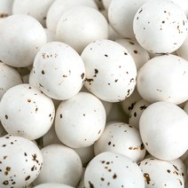 아우레이트 드래곤 새알 초콜릿 1kg 식품 > 스낵/간식 초콜릿/사탕/젤리/껌 초콜릿/초코바 밀크초콜릿, 1″ class=”wr-img”></a></div></p></div></p></div></p></div><div class=