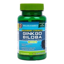 Holland & Barrett 홀랜드앤바렛 맥시멈 스트렝스 징코 빌로바 120mg 30캡슐