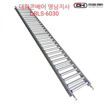 DRL-6030 사다리형컨베이어 폭600 길이3미터