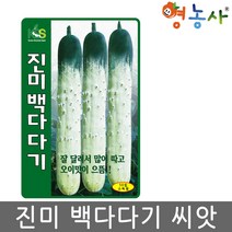 진미 백다다기 오이 씨앗 50립, 진미백다다기오이, 1개