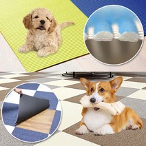 매트 카펫 고양이 미끄럼방지 강아지카페트 슬개골탈구 캣 타워 애견매트 스크래쳐 홈스월드, 13. JHT-111 (레드)
