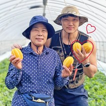 성주 참들농원 성주참외 가정용 못난이 과일 소과 중과 선물용 특정품 택1 1.5kg 2.5kg 5kg, 01 못난이 혼합