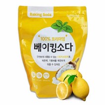 BKG코스트베이킹소다 흰옷누런때 장판찌든때프리미엄 하)100% 2kg 베이킹소다먹는 중탄산나트륨 과탄산나트륨 과탄산소다수, 1개