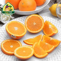 호주산 네이블 오렌지 중소과 30입 4.5kg, 단품