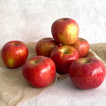 [더조은푸드] 경북 부사 사과 쥬스용 10kg(랜덤과), 1box