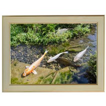 E430-5/잉어사진액자 A4 벽걸이액자 포토액자 물고기사진 붕어사진 풍경사진 풍경화 풍경화그림, 잉어사진액자