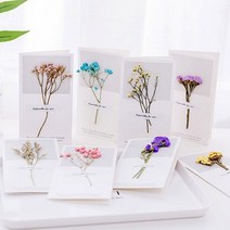 말린꽃카드/드라이플라워 카드/프리저브드플라워 카드*, 보라꽃