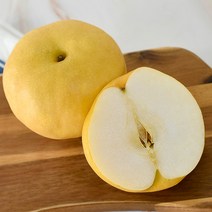 나주 햇배 신고배 과일선물세트 5kg 7.5kg 15kg, 특품5kg(8-10과)