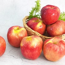 꿀맛 뚝둑 경북 홍로 사과 가정용 3kg, 1box, 홍로 사과 가정용 3kg(19-21과
