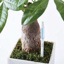 (SUSTEE) 서스티 물주기 알리미 식물수분계, S-화이트