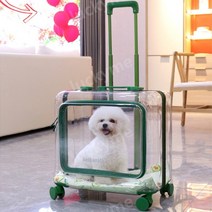고양이 외출 가방 케이지 투명 애완 동물 트롤리 상자 외출 휴대용 투명 고양이 가방 개 트롤리 공간 캡슐 고양이 두 마리 대형 수하물, 컬렉션+구매+쿠션 증정, J