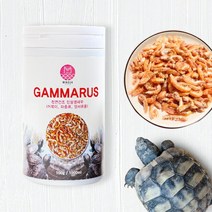 천연건조 민물옆새우 감마루스 대, 1개
