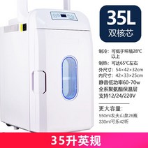 냉장고 화장품 차량용 효과적인 사이즈별 컬러풀한 쿨러 기숙사용품 캠핑 아이스박스 자동차 빌트인 전기 스마트카 캠핑카용 국산 2도어 24v 미니 서랍, 10L영국표준브라운24v, BJ