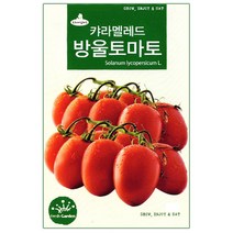 청농종묘 적겨자 씨앗 2000립 채소씨앗 겨자씨 씨 쌈채소씨앗, 14_캬라멜레드방울토마토(15립)
