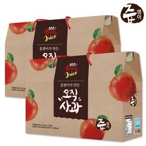 즙쟁이 오직 사과즙 2박스 60포