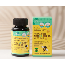 네이버맥스 그린 비염 프로폴리스 효과 항산화 만성 염증 면역력 구내염 영양제 플라보노이드