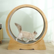저소음 고양이 캣휠, 1개, 90cm