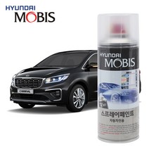 기아 올뉴카니발 카스프레이 ABP 오로라 블랙 펄