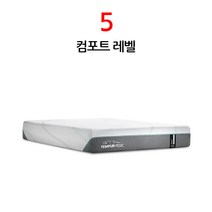 템퍼 페딕 프로어댑트 미디움 하이브리드 T2