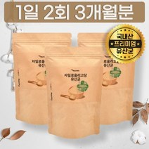 국내산 유산균 프리바이오틱스 살아있는 유익균 한국형 프락토올리고당 파우더 분말 가루, 상세페이지 참조, 상세페이지 참조