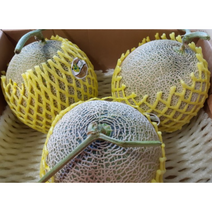 고당도 머스크 멜론 2수 3수 4수 / 3kg 4kg 8kg melon 얼스 고창 세지 곡성 멜론 메론 꿀메론 가정용 선물용 선물세트 추석 명절 선물, 3kg(2수), 1개