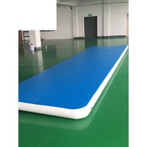 체조매트 태권도장 바닥 에어 구르기 합기도 쿠션, 매트 일반형 2x4m