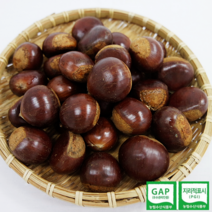 공주 정안 옥광밤 2kg 4kg (중 대 특 사이즈), 옥광밤(대) 2kg, 1개