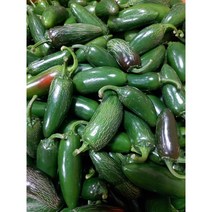 엄지고추 할라피뇨 못난이 퍼팩트 아삭이고추 10kg, 1개
