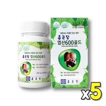 식약처인증 먹기쉬운 식약청인정 임신엽산 선물 가임기 pregnancy 간편한 임산부 먹는 청소년 임신전 선물세트 남자 Folic acid 수유부 프리미엄 더폴릭 엽산음식 초기임산부, 90정, 5개