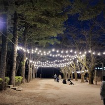 파티라이트 스트링라이트 전등성 방우 LED 벌브전구 포함 야외조명 경관조명 루프탑 캠핑 까페 펜션용 감성조명 무드조명, 11M10구+LED 벌브 10W 전구색 (노랑빛)12개