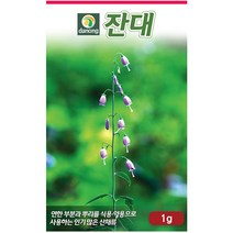 다농 산천 왕까마중 50립 - 씨 씨앗 까마중씨앗 까마중씨 강태 깜두라지 용규 나물씨앗 민속채소 채소씨 채소씨앗, 27_다농_잔대(1g)