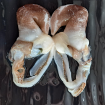 특품 남당항 손질 새조개 샤브샤브 세트(1kg 실중량 200-250g 내외), 쭈꾸미 500g, 2kg(400-500g내외)