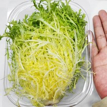 프리세 100g