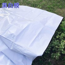 장박비닐 필름 농사 겨울 단열 비닐하우스 하우스용, 투명 흰색 필름 16S 두께, 3m, 3m