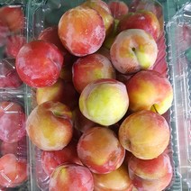 경북 경산 김천 당도선별 하우스자두 900g 당일수확 산지직송, 중과 300g x 3팩 (팩당 4-6과)