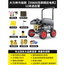 고압세차기 고압세척기 세차건 검은 고양이 세인트 일반 자동차 세탁기 가정용 220V 물총 워터 펌프 브러시 유물 강력한 바닥 잡아, 13. Daliwang 업그레이드 모델 [99800 브