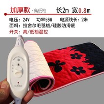 화물차 트럭 츄레라 트레이 자동차 차량 24v 캠핑 차박 전기 장판 담요 전기요 발열 낚시 온열 보온 열선 매트 패드 이불 휴대용 야전, I.두꺼운 일반 스위치 200x80cm