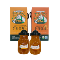설렘이가득한 제주 한라봉차 천혜향차 320g 520g 액상차 과일청 기념품 특산품 답례품, 한라봉차 520g
